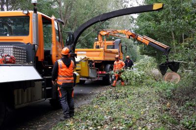 Fahrzeuge der Straßenkontrolle transportieren Baum nach Sturmschaden